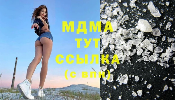 сатива Беломорск