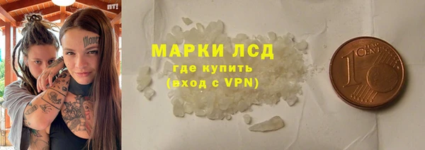сатива Беломорск