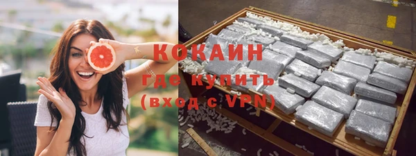 сатива Беломорск