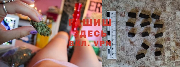 сатива Беломорск
