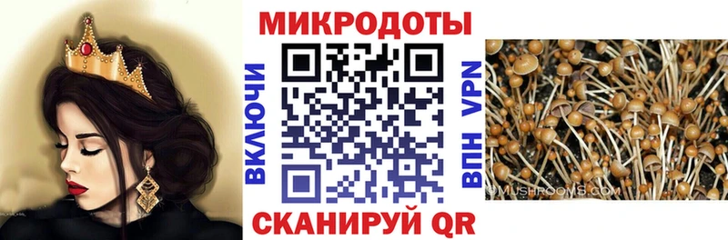 Псилоцибиновые грибы Cubensis  Яровое 