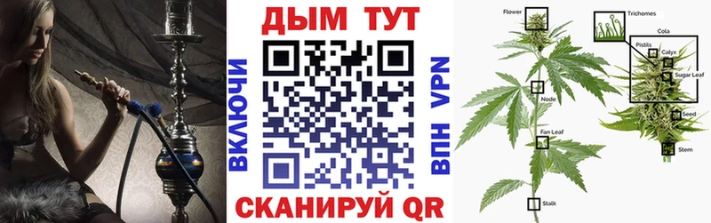 Каннабис THC 21% Яровое